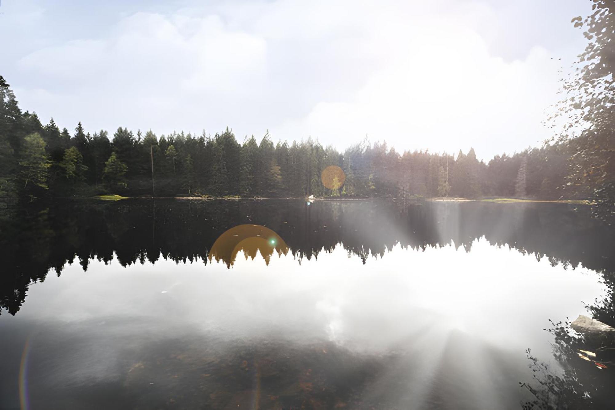Ferienhaus Voelkle Hinterzarten Dış mekan fotoğraf