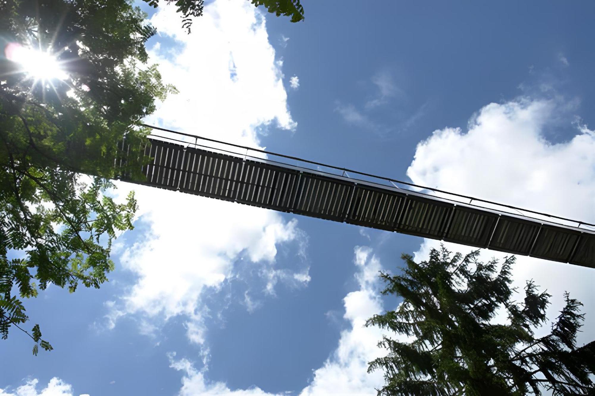 Ferienhaus Voelkle Hinterzarten Dış mekan fotoğraf